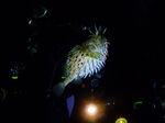 1401IOP 031.jpg