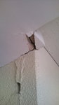 20110315113240.jpg