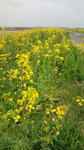 20110320124327.jpg