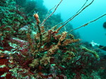 20140813_105512.jpg