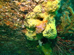 20140813_105944.jpg