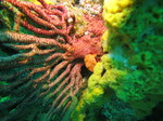20140813_110141.jpg