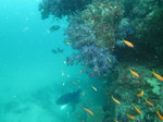 20140813_131439.jpg