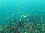 20140813_132027.jpg
