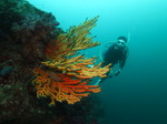 20140813_132346.jpg