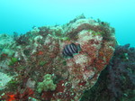 20140813_132812.jpg