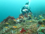 20140813_133955.jpg