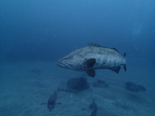 2017_0909伊戸kue.jpg