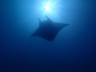 2018_04160053.JPG