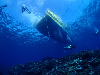 2022_0704\toumei1.JPG