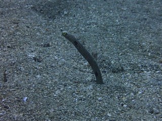 2022_0903ɓvۂcin.JPG