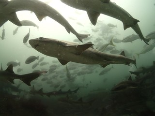2024_0801Ɍˁ@same1.JPG
