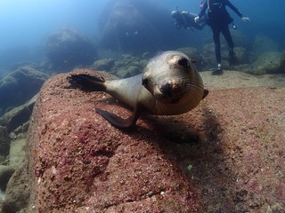 2024_0920LAPAZ6.JPG