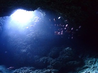 2024_1106{hukari.JPG