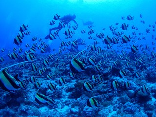 2025_0209pIcm_V1.JPG
