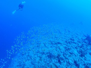 2025_0209pIcm_V2.JPG