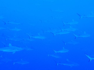 2025_0209same1.JPG