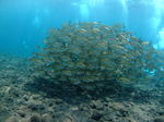 DSCF2752.JPG