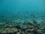 DSCF5898.JPG
