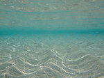 DSCF6559.JPG