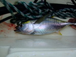 DSCF8587.JPG