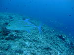 DSCF8702.JPG