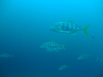 DSCF8788.JPG