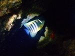 DSCF9117 (2).JPG