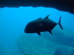 DSCF9170.JPG