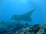 DSCF9349.JPG