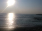 DSC_0272.jpg