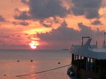 DSC_0554.jpg