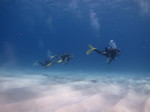 IMG_0065.JPG