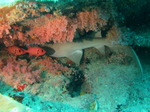 IMG_0407.JPG