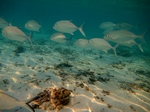 IMG_1483.JPG