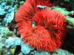 IMG_1647.JPG