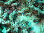 IMG_2725.JPG