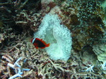 IMG_4507.JPG