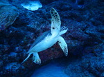 IMG_4579.JPG