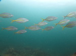 IMG_4799.JPG