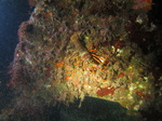 IMG_4833.JPG