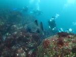 IMG_4850.JPG