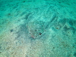 IMG_4865.JPG