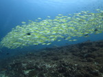 IMG_7893.JPG