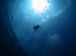 IMG_8183.JPG