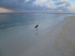 IMG_9231.JPG