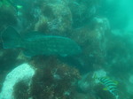 IMG_9404.JPG