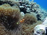 IMG_9955.JPG