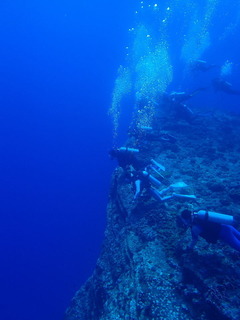 P5020184.JPG