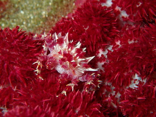 PA270005.JPG